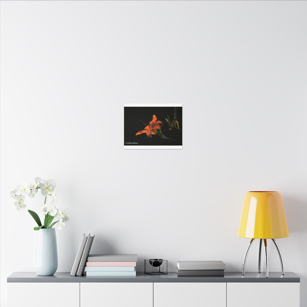 Orange Daylily Floral Canvas Print — Matte Stretched Wall Art