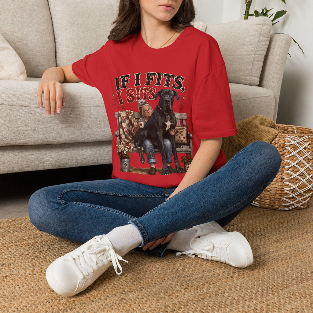 If I Fits, I Sits T-Shirt — Funny Great Dane Lover Graphic Tee