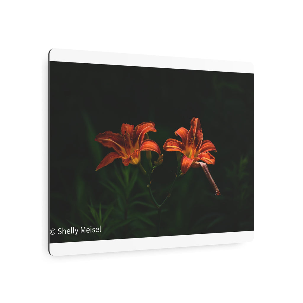 Day Lilies' Botanical Wall Art