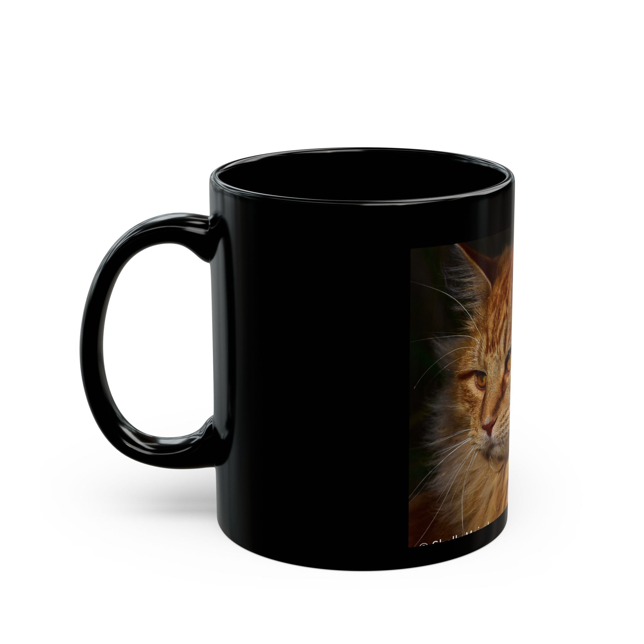 Golden Fluffy Cat Photo Mug — Black Ceramic Coffee Cup (11oz, 15oz)
