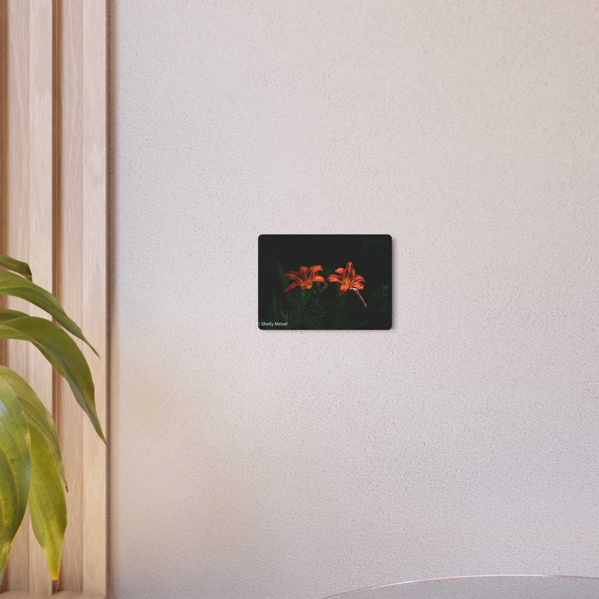 Day Lilies' Botanical Wall Art
