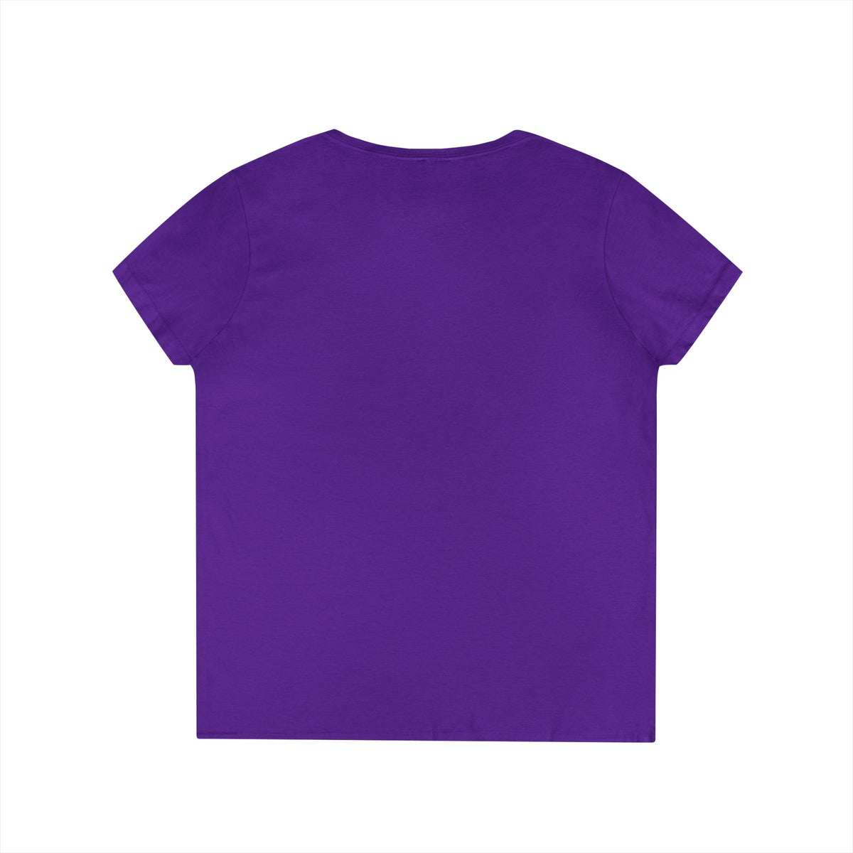 Be Salty Stay Lit Chicken V-Neck Tee