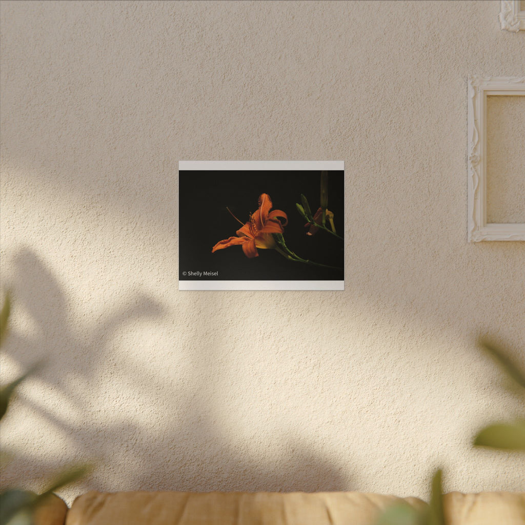 Orange Daylily Floral Canvas Print — Matte Stretched Wall Art