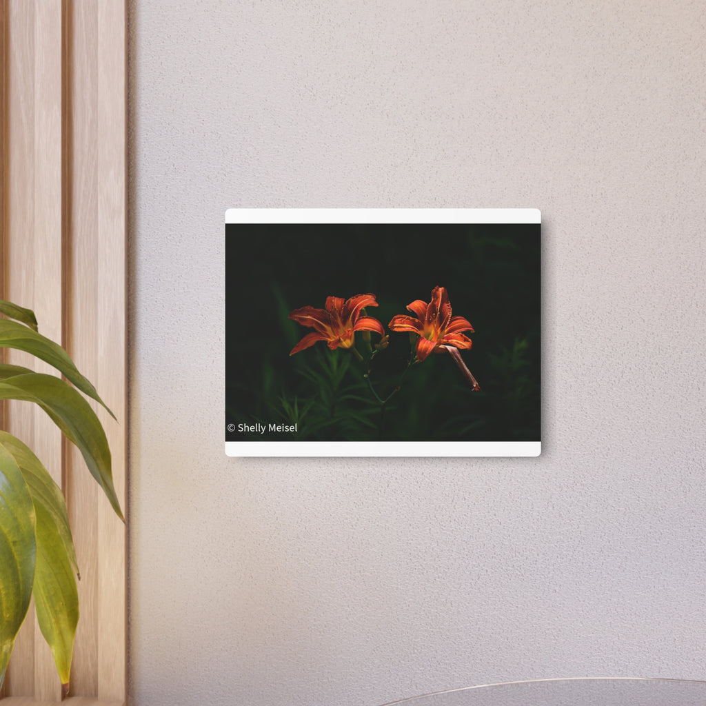 Day Lilies' Botanical Wall Art