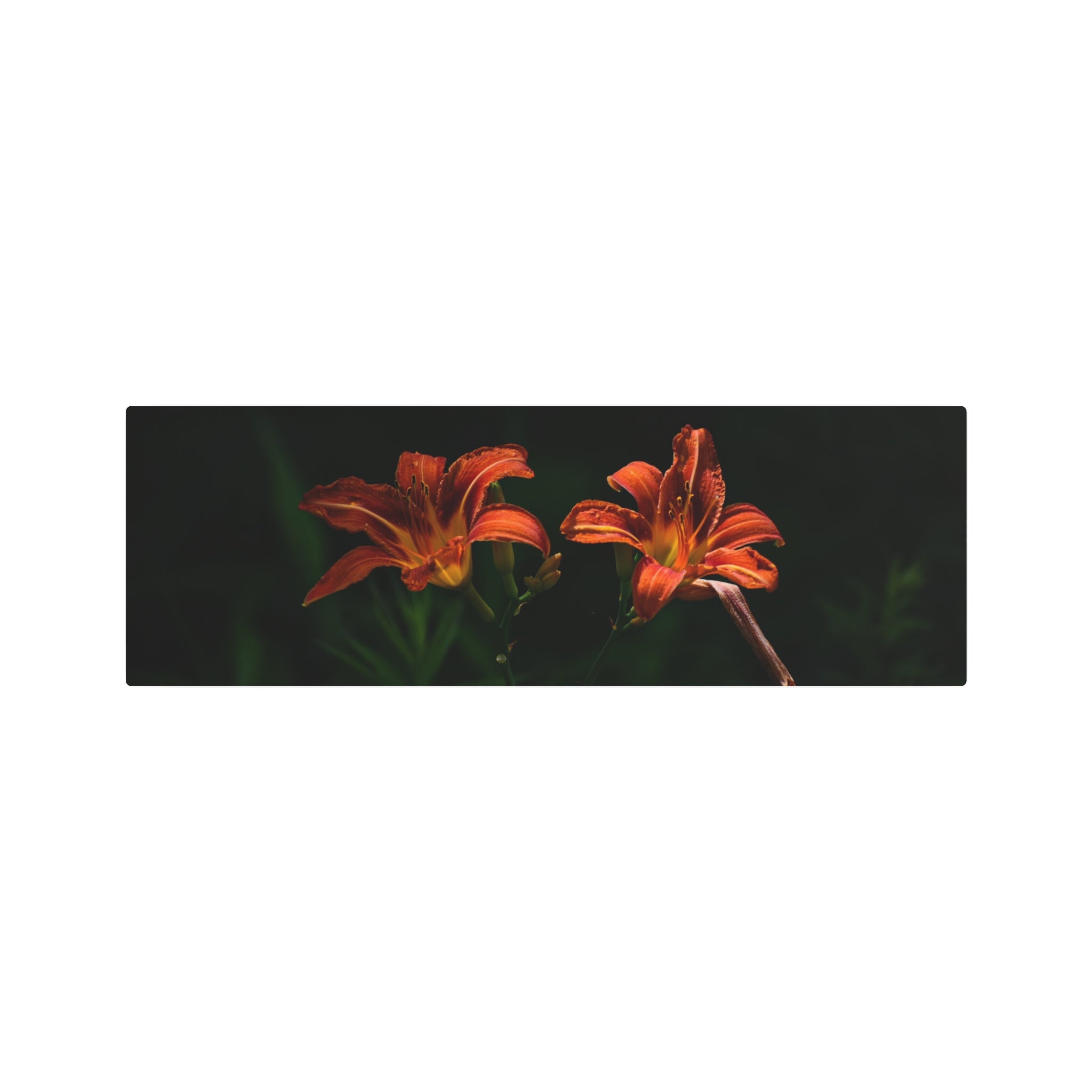 Day Lilies' Botanical Wall Art
