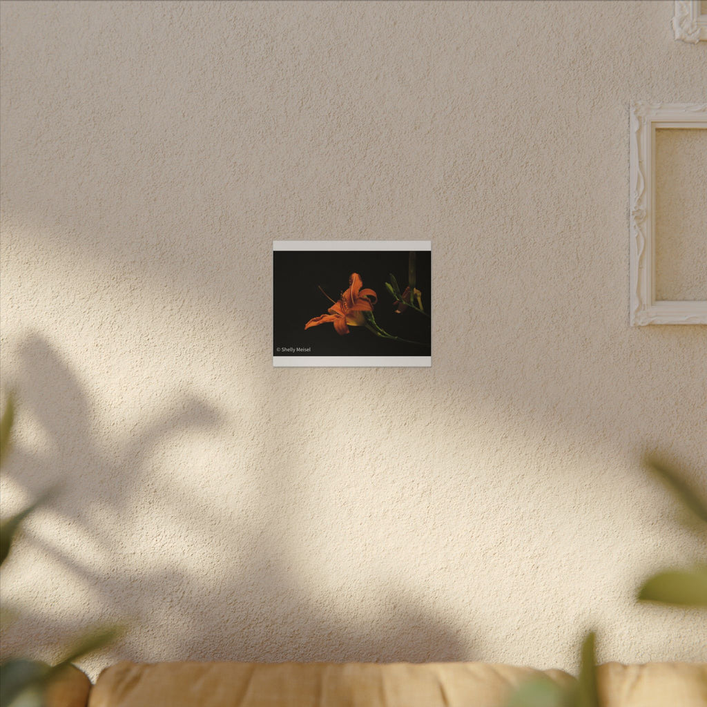 Orange Daylily Floral Canvas Print — Matte Stretched Wall Art