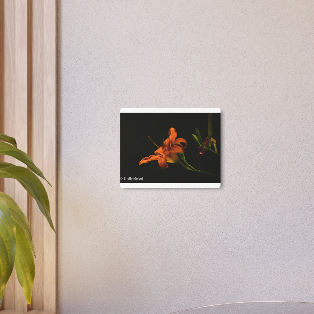 Orange Lily Floral Wall Metal Wall Art