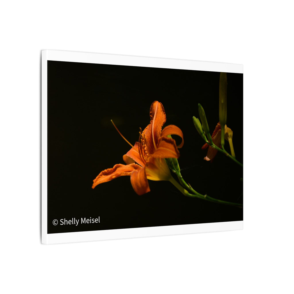 Orange Daylily Floral Canvas Print — Matte Stretched Wall Art
