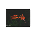 Day Lilies' Botanical Wall Art