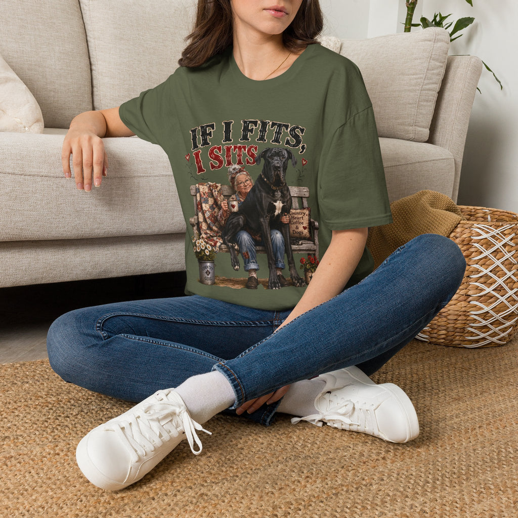 If I Fits, I Sits T-Shirt — Funny Great Dane Lover Graphic Tee