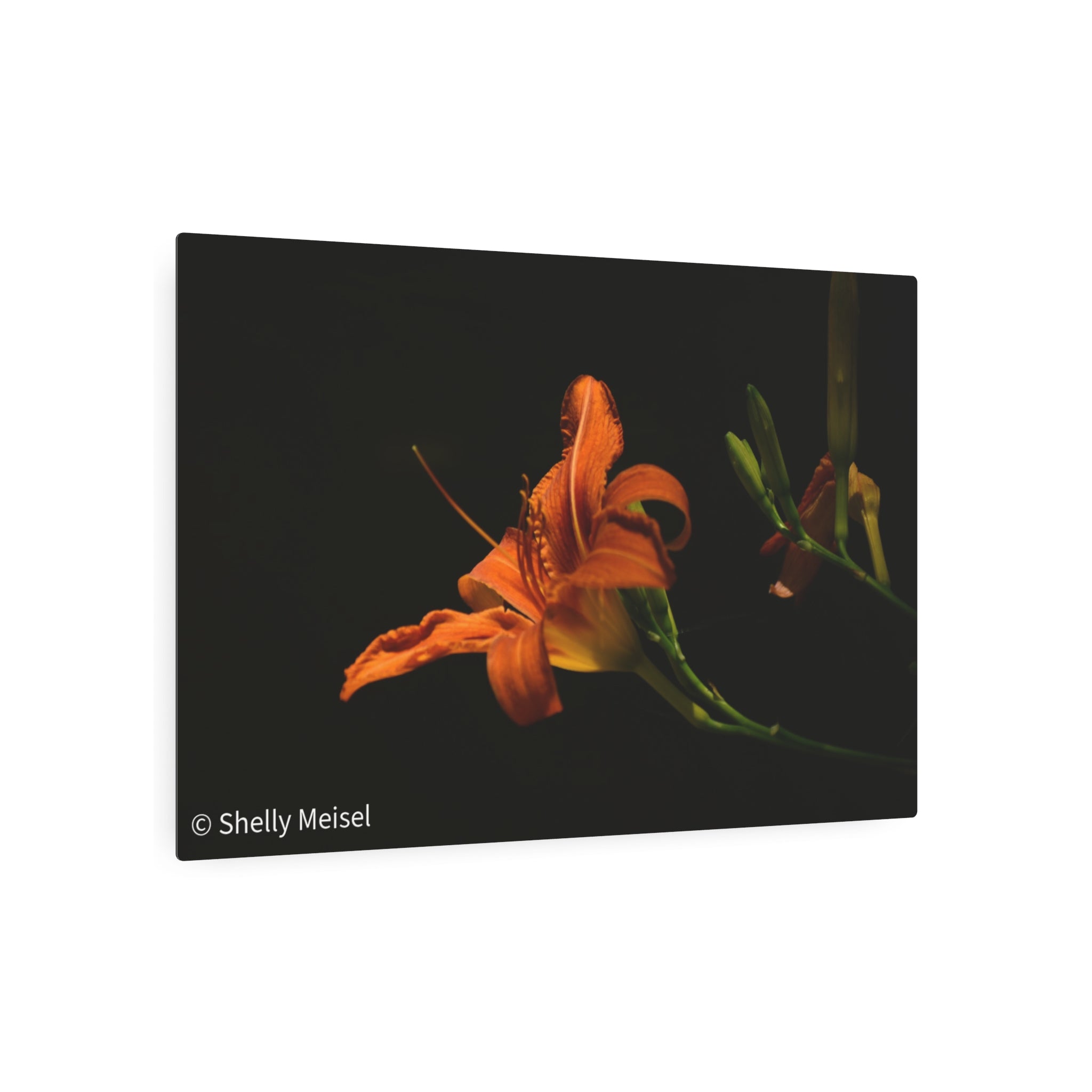 Orange Lily Floral Wall Metal Wall Art