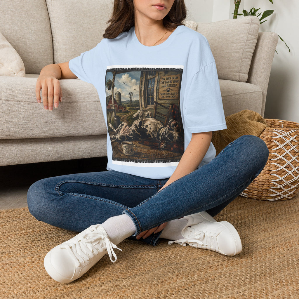 Great Dane Sleeping   Farmhouse Art T‑Shirt