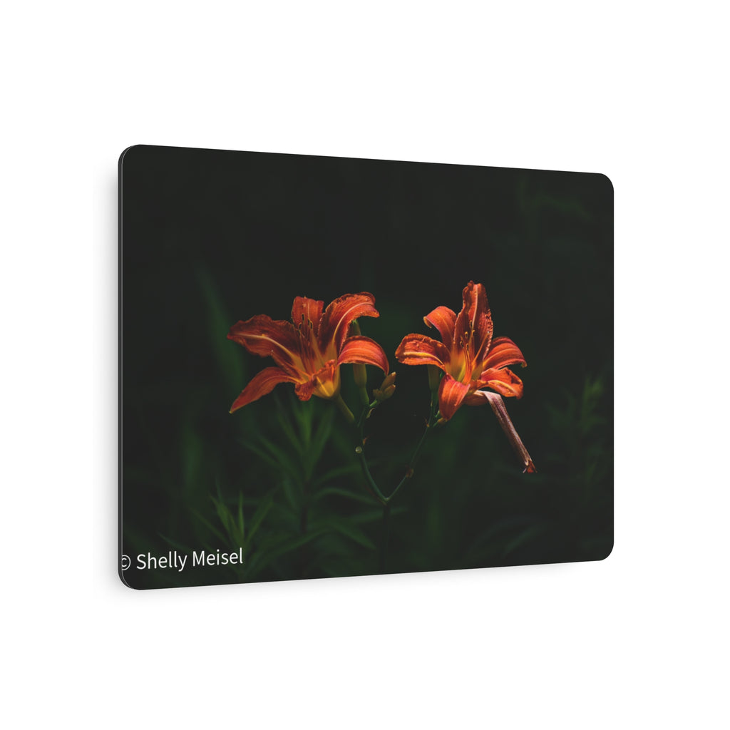 Day Lilies' Botanical Wall Art