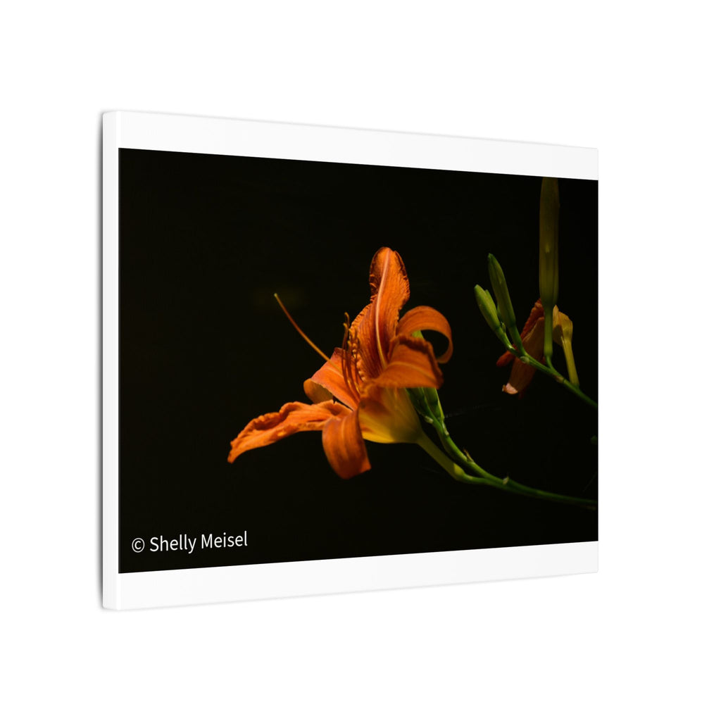 Orange Daylily Floral Canvas Print — Matte Stretched Wall Art