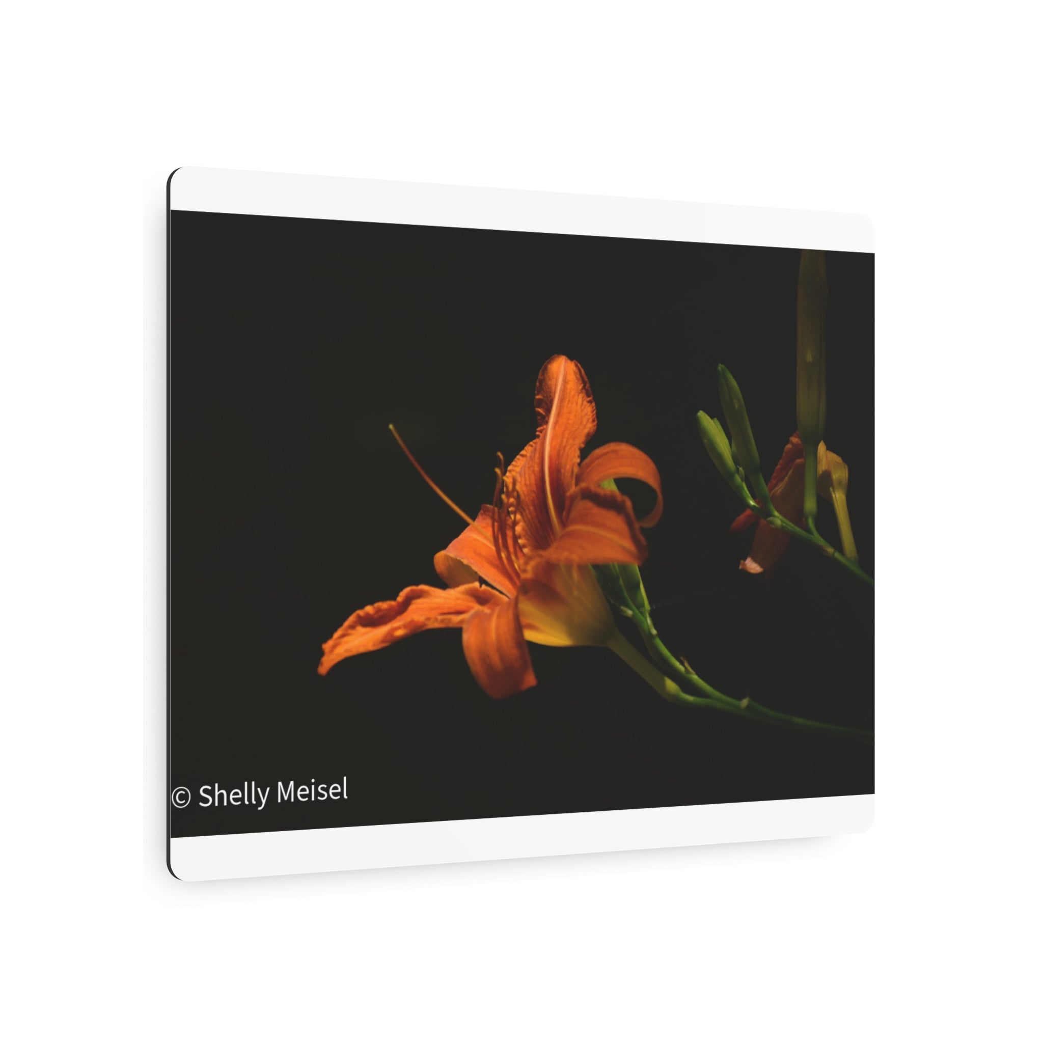 Orange Lily Floral Wall Metal Wall Art