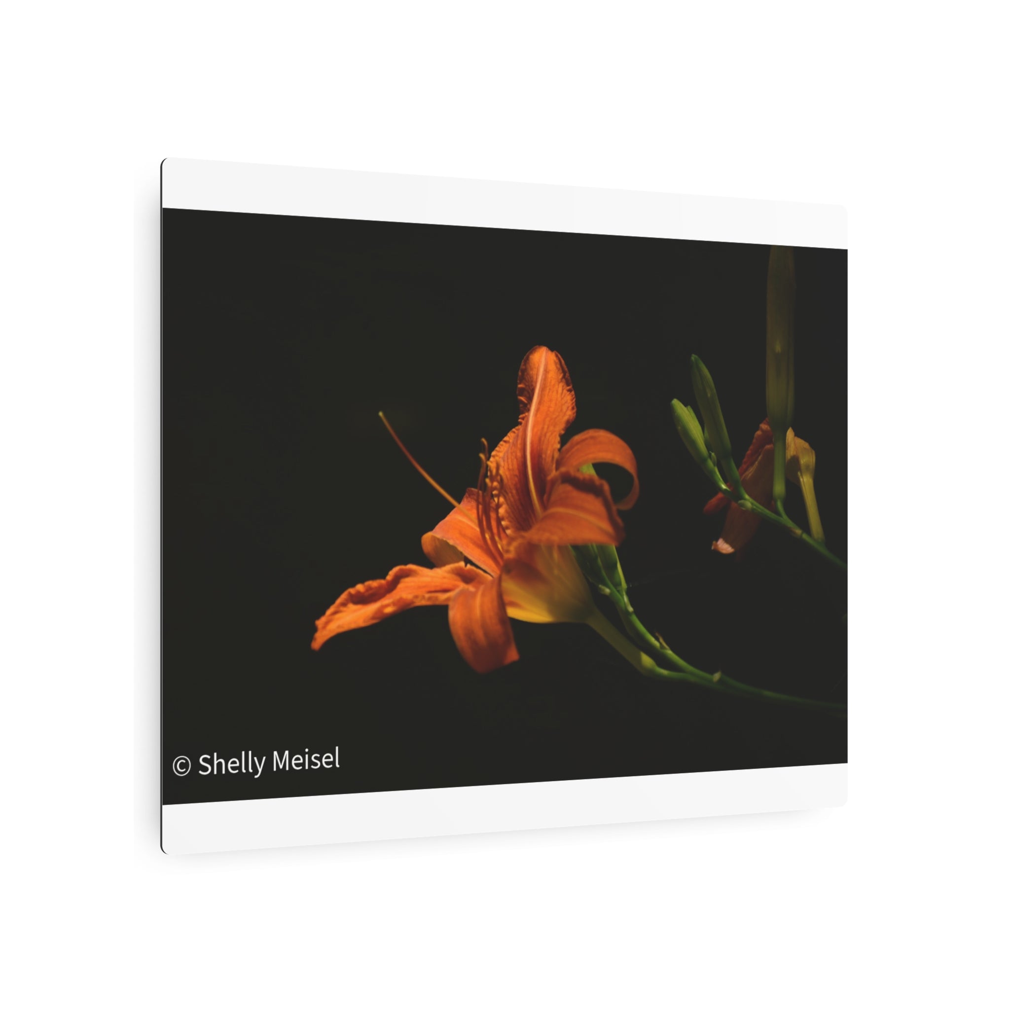 Orange Lily Floral Wall Metal Wall Art
