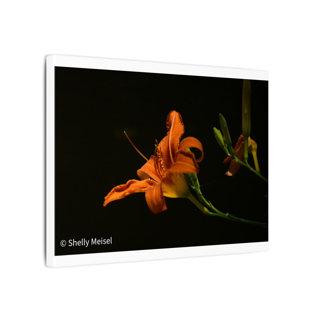 Orange Daylily Floral Canvas Print — Matte Stretched Wall Art