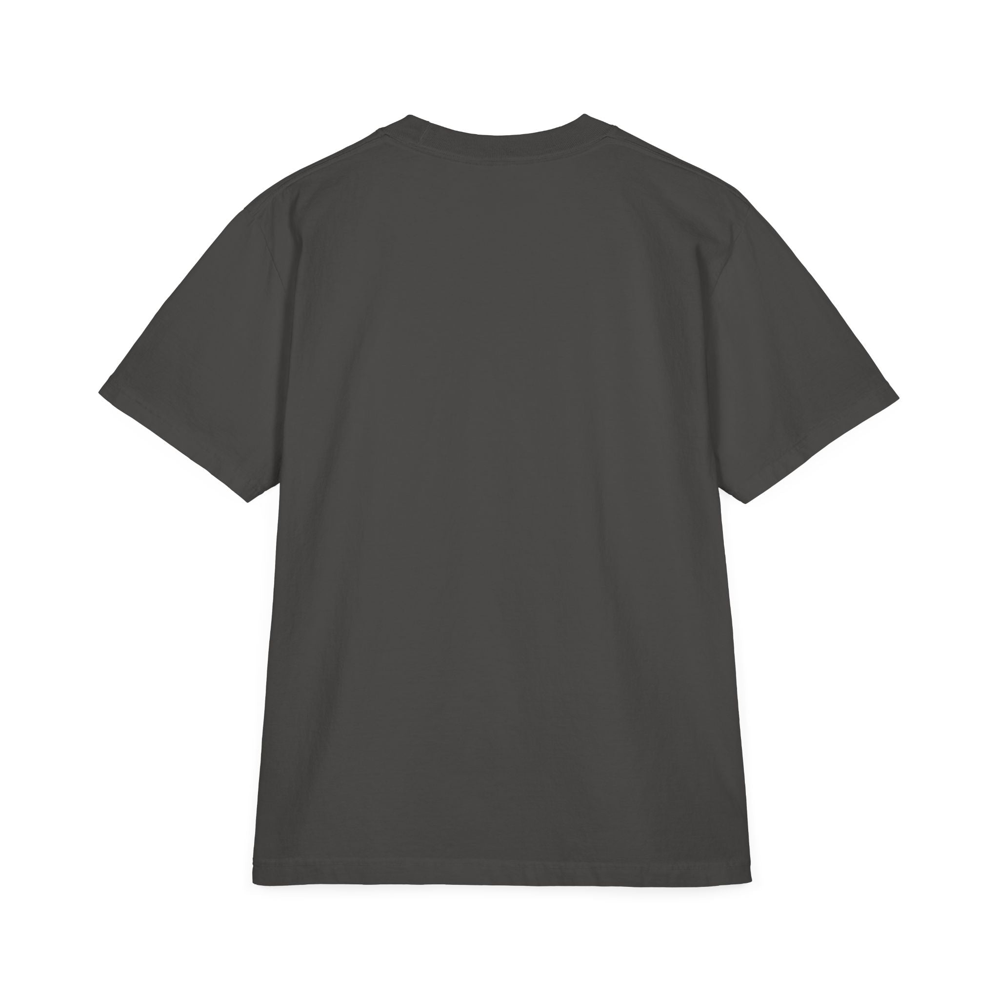 Pro-Life Science T-Shirt — "Follow the Science: Life Begins at Conception"