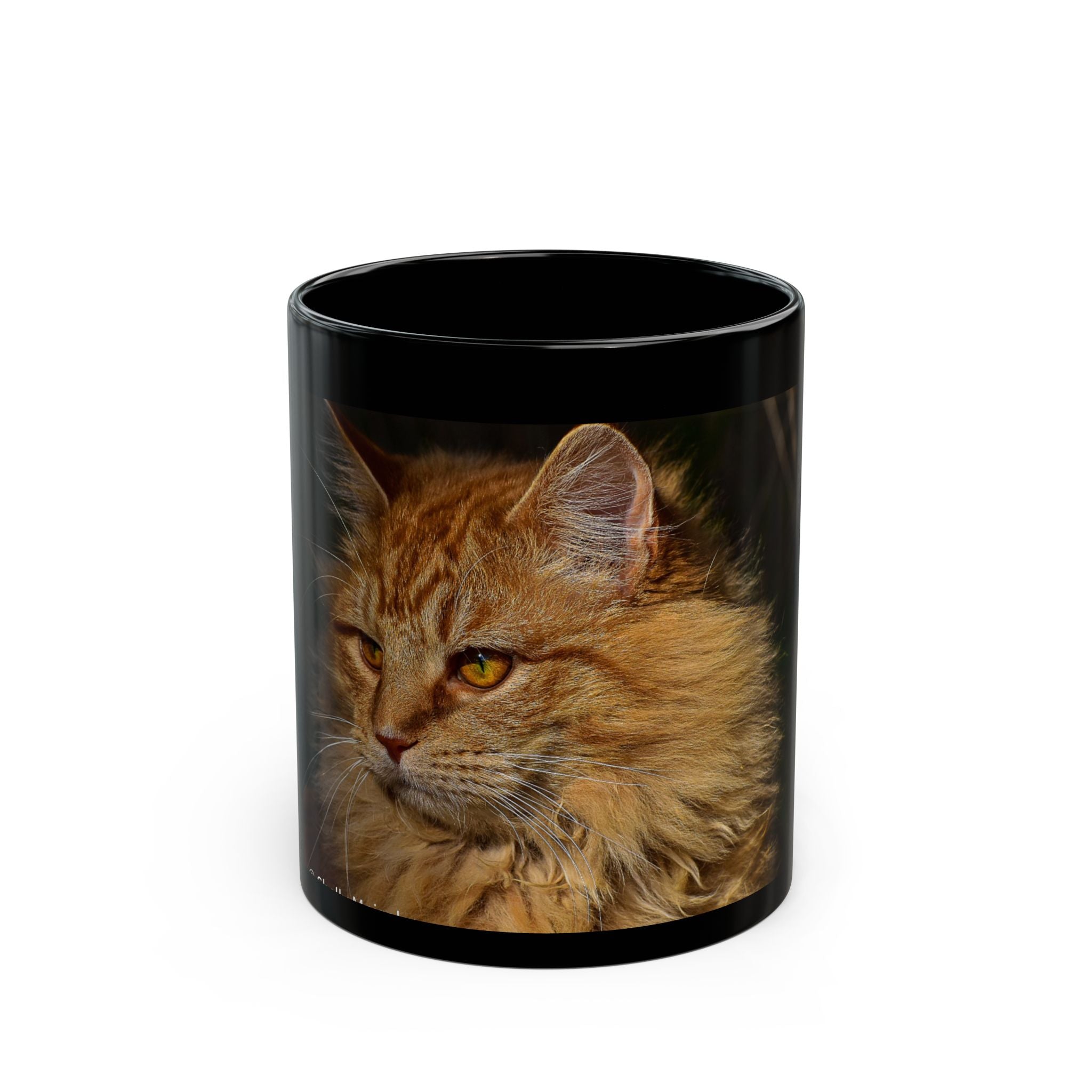 Golden Fluffy Cat Photo Mug — Black Ceramic Coffee Cup (11oz, 15oz)