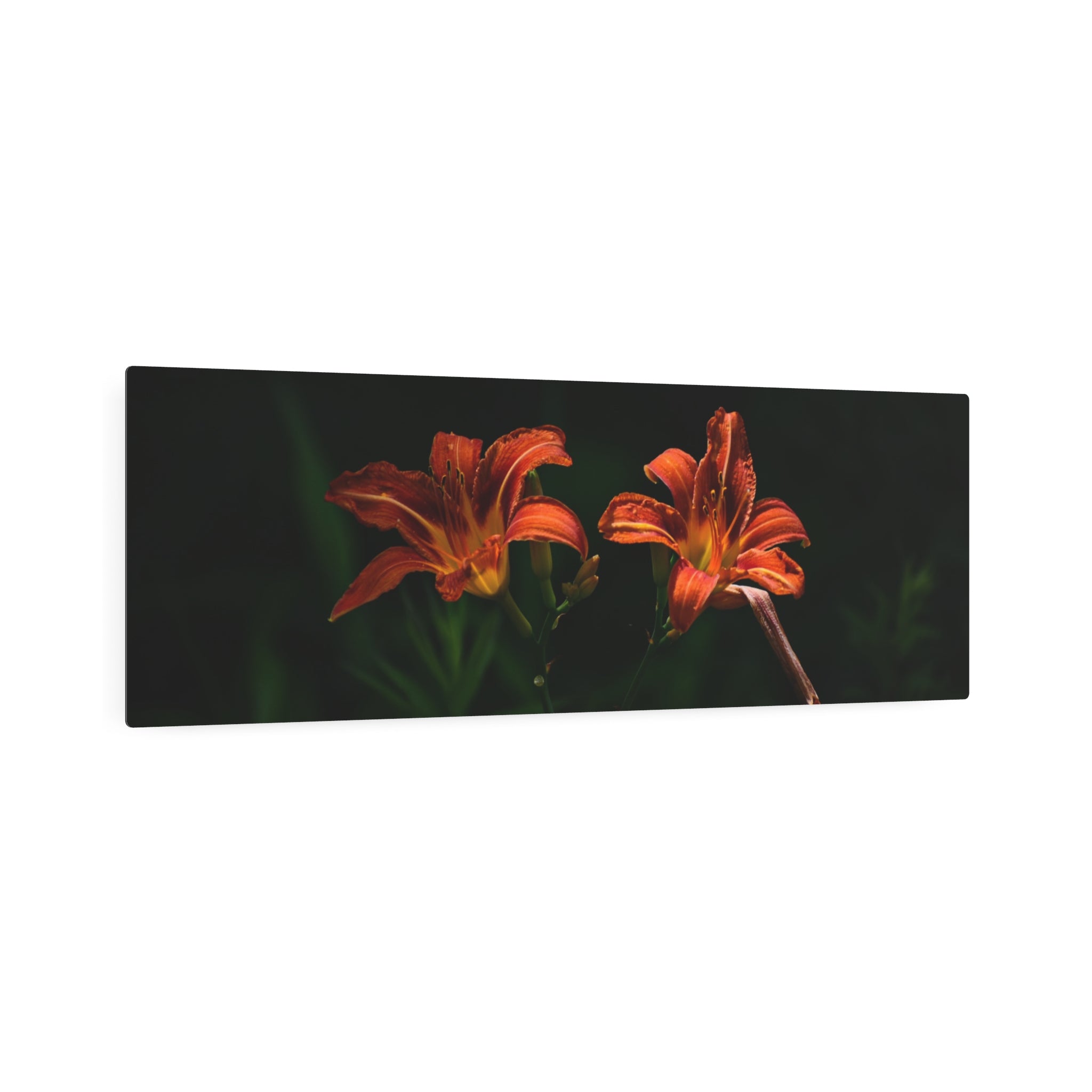 Day Lilies' Botanical Wall Art