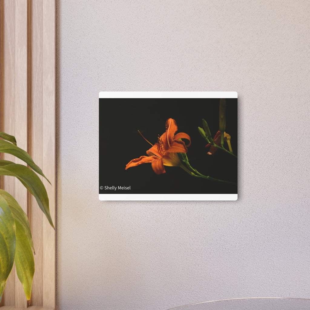 Orange Lily Floral Wall Metal Wall Art