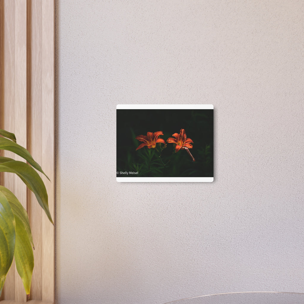 Day Lilies' Botanical Wall Art