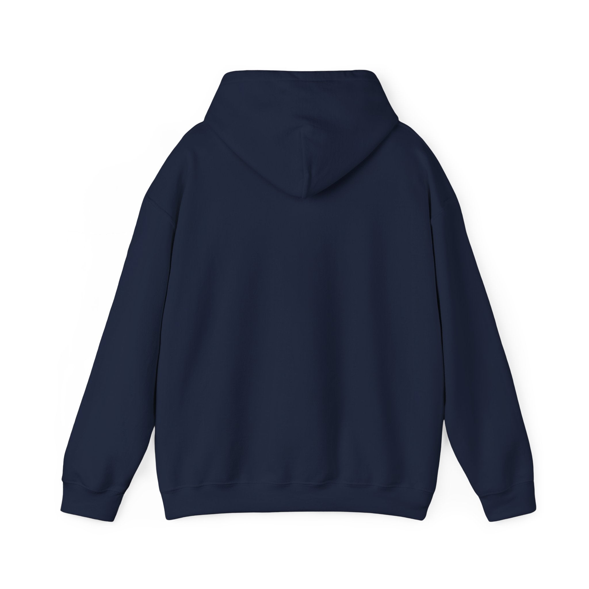 Patriotic Old Glory 1776-2026 Hoodie — American Flag Sweatshirt