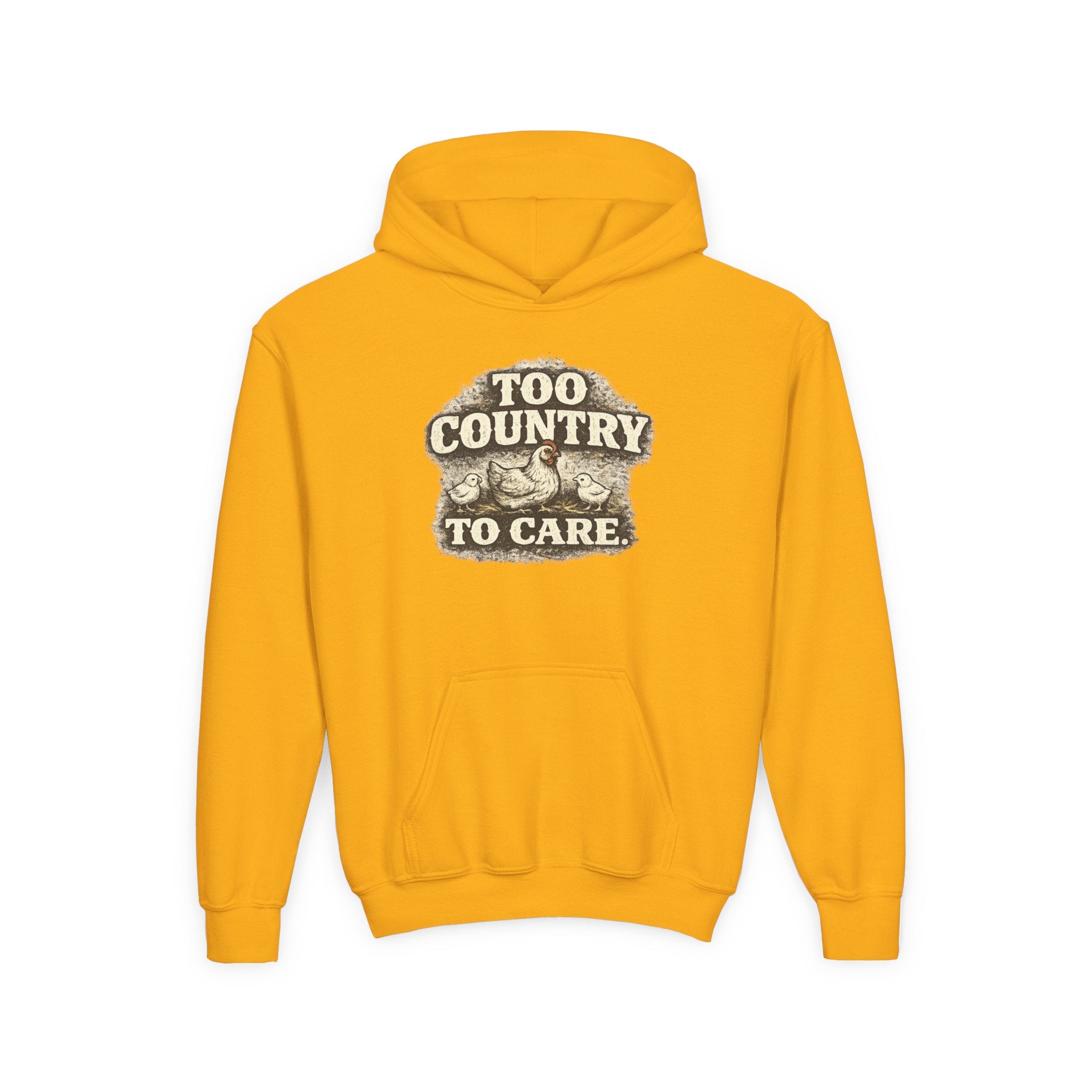 Youth Hoodie — 'Too Country to Care' / Appalachian Faith Graphic