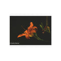 Orange Lily Floral Wall Metal Wall Art