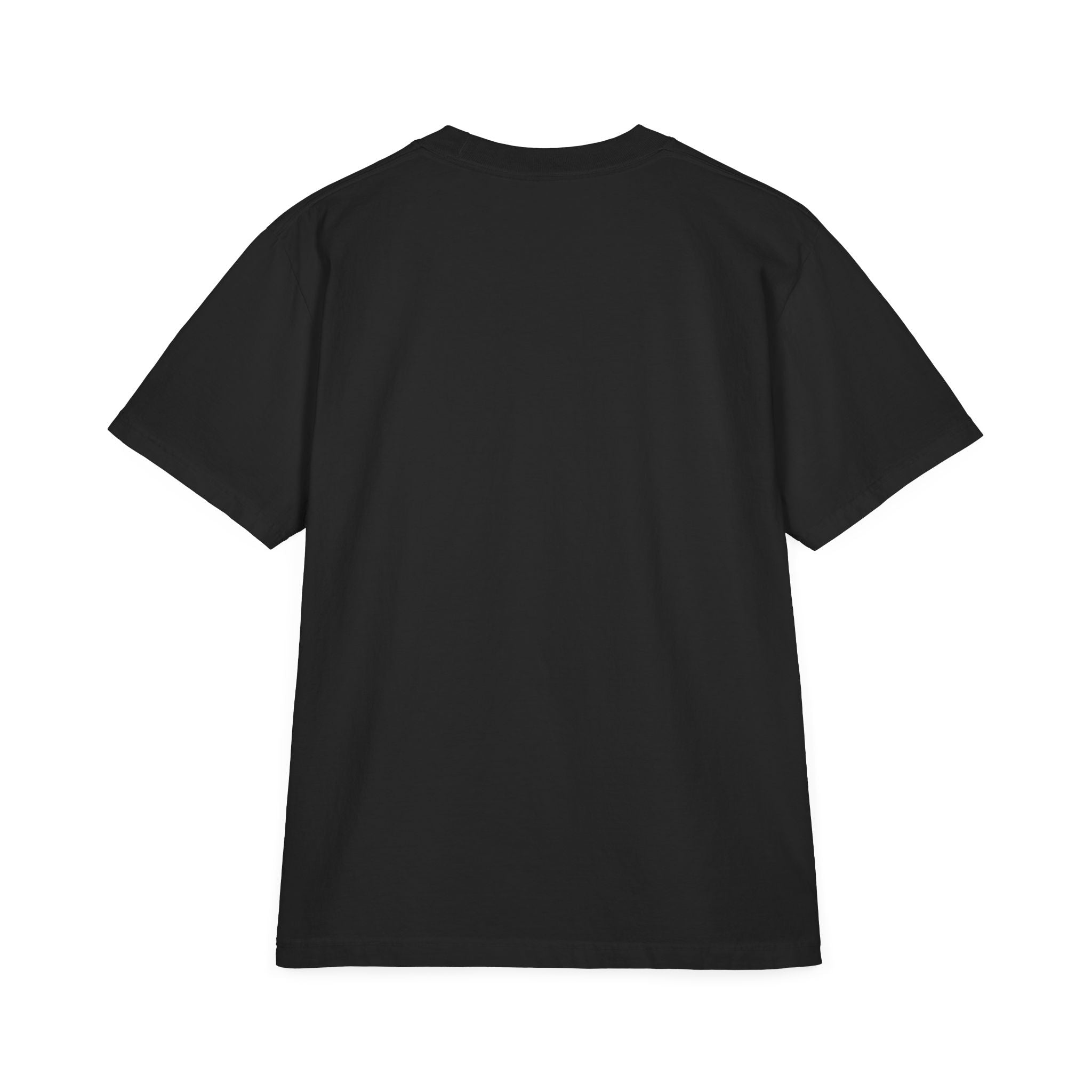Pro-Life Science T-Shirt — "Follow the Science: Life Begins at Conception"
