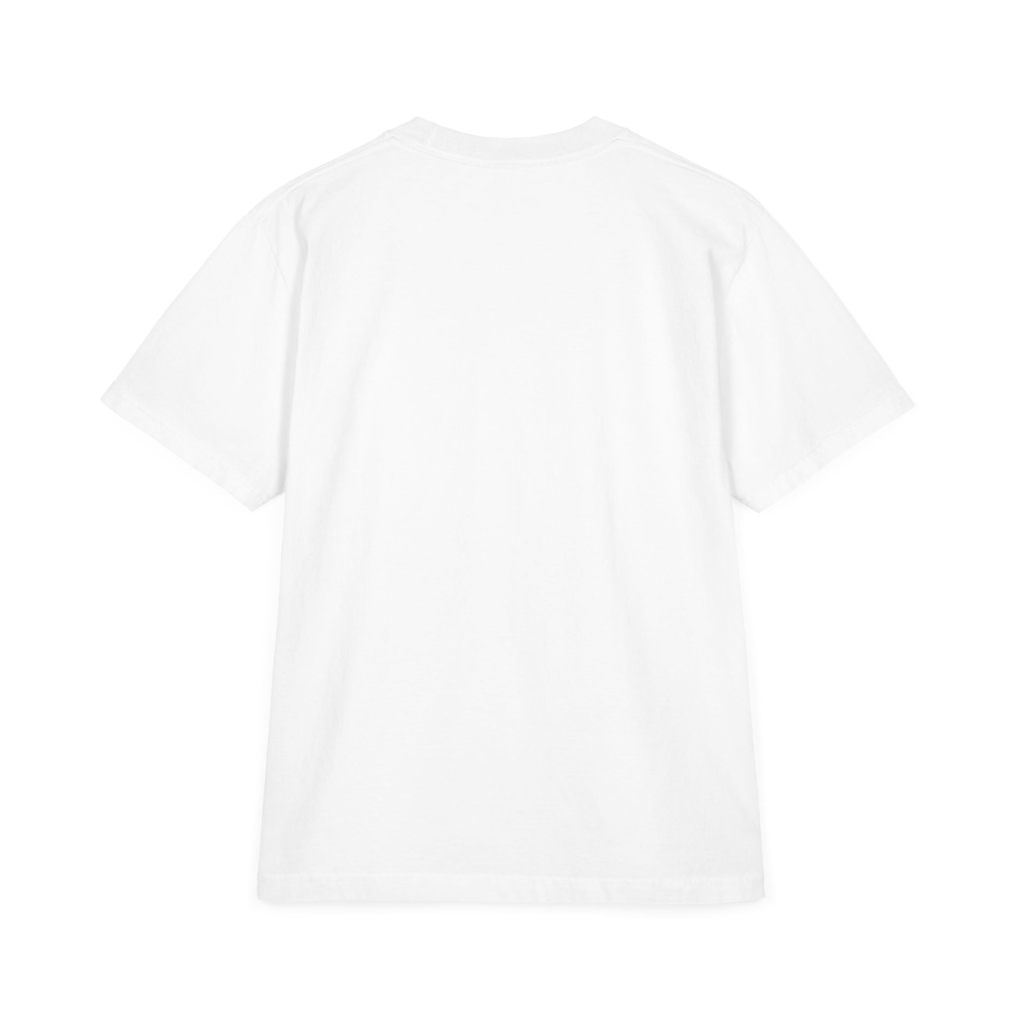Pro-Life Science T-Shirt — "Follow the Science: Life Begins at Conception"