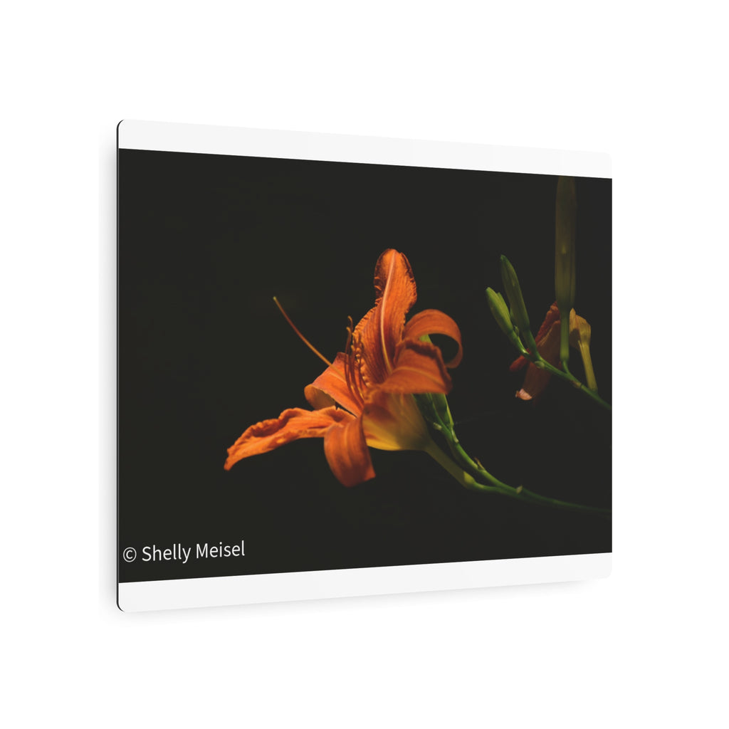 Orange Lily Floral Wall Metal Wall Art