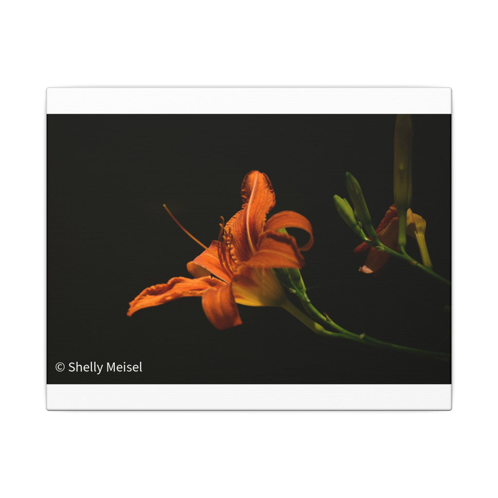 Orange Daylily Floral Canvas Print — Matte Stretched Wall Art