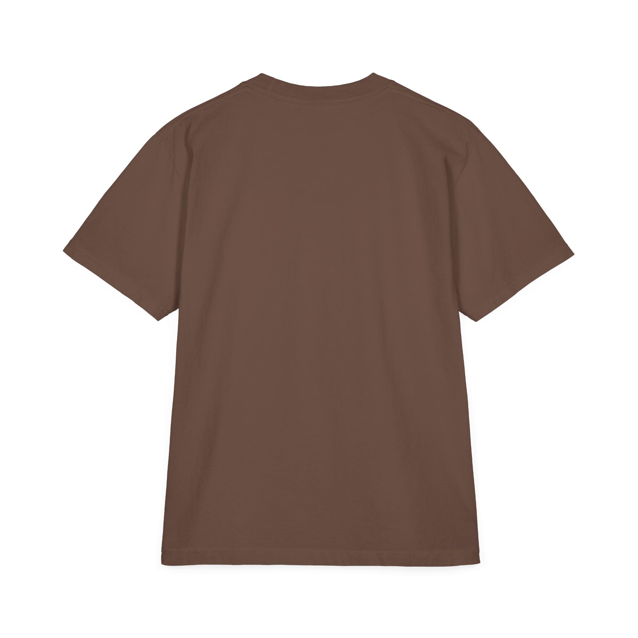 Pro-Life Science T-Shirt — "Follow the Science: Life Begins at Conception"