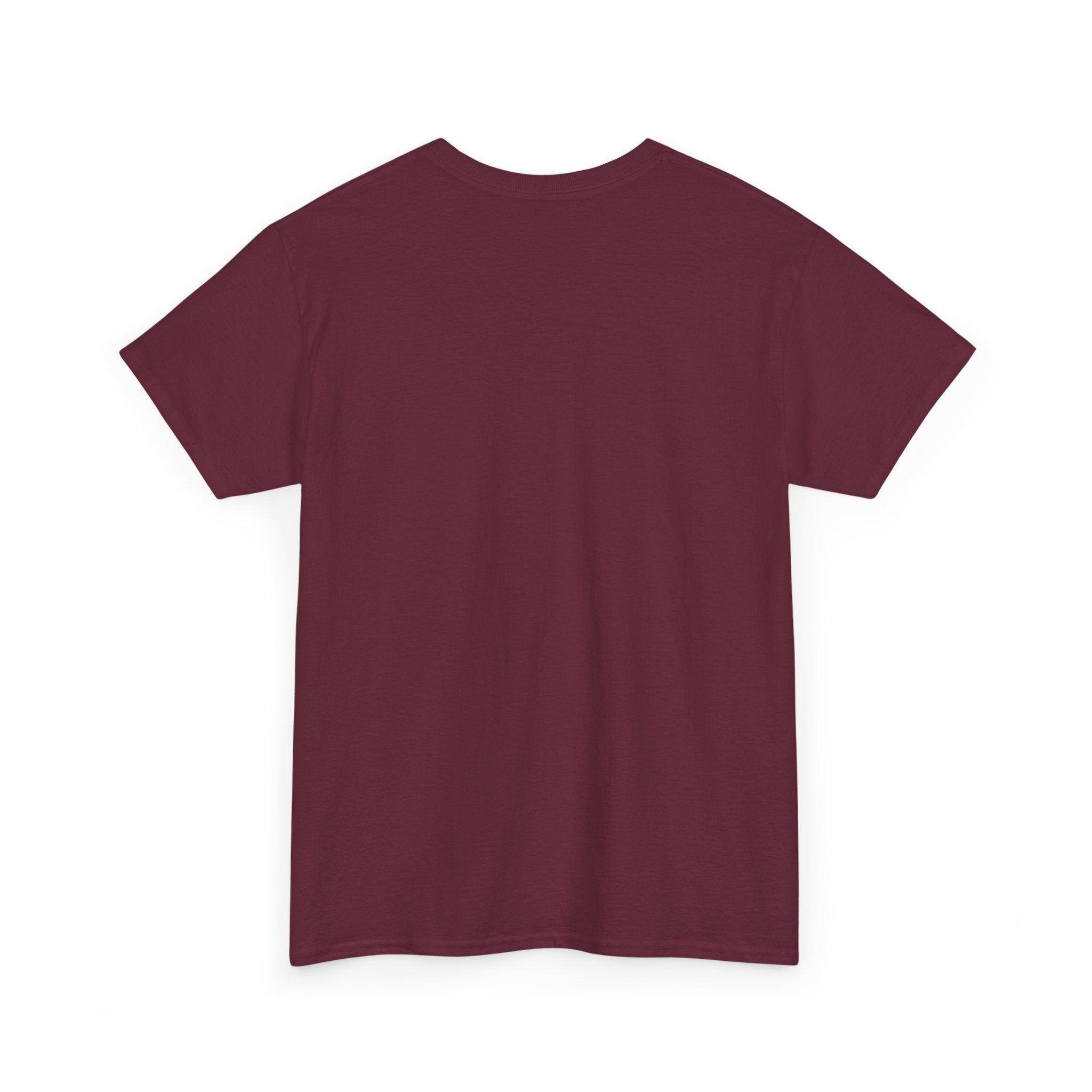 Christian Faith Tee — "I Come Not to Send Peace but a Sword" Matthew 10:34 Graphic Shirt