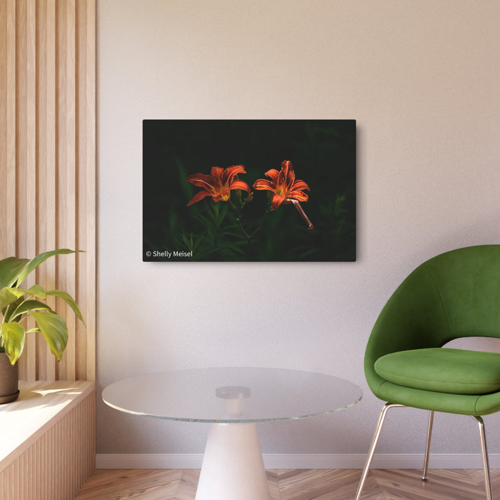 Day Lilies' Botanical Wall Art